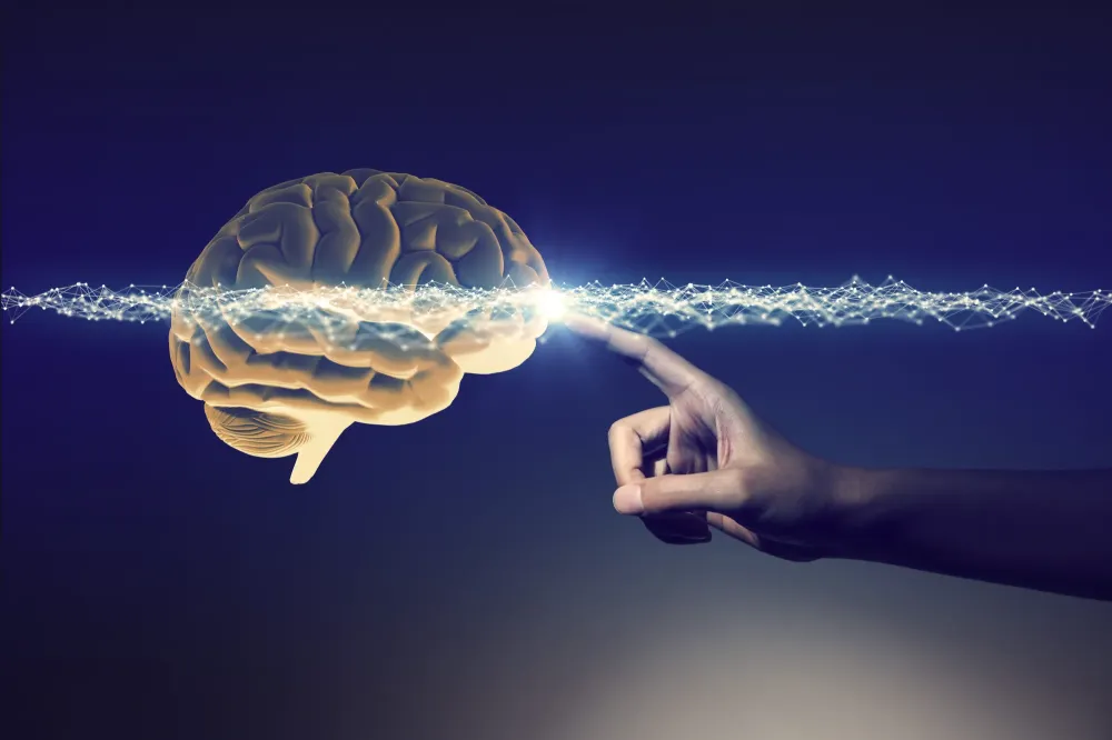Neuroscience à Vacheresse